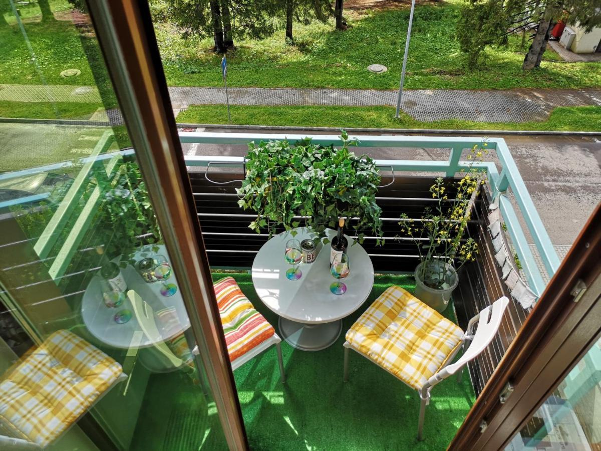 The Evergreen Nest - Silver Mountain Пояна-Брашов Экстерьер фото