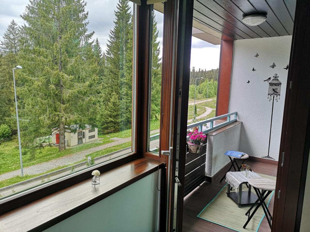 The Evergreen Nest - Silver Mountain Пояна-Брашов Экстерьер фото