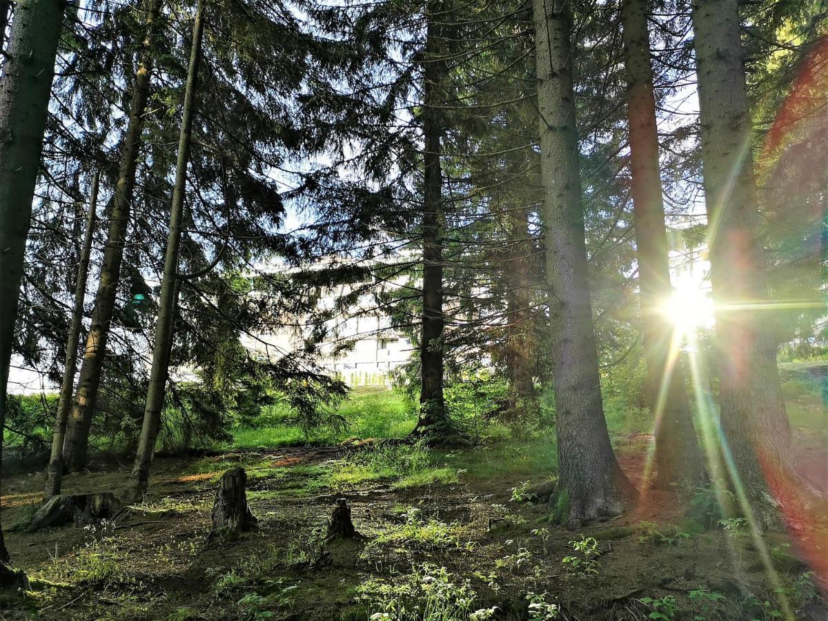 The Evergreen Nest - Silver Mountain Пояна-Брашов Экстерьер фото