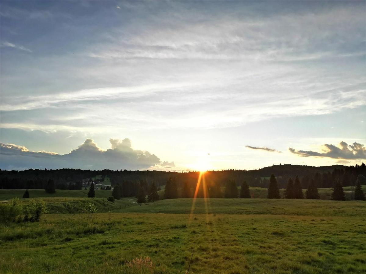 The Evergreen Nest - Silver Mountain Пояна-Брашов Экстерьер фото