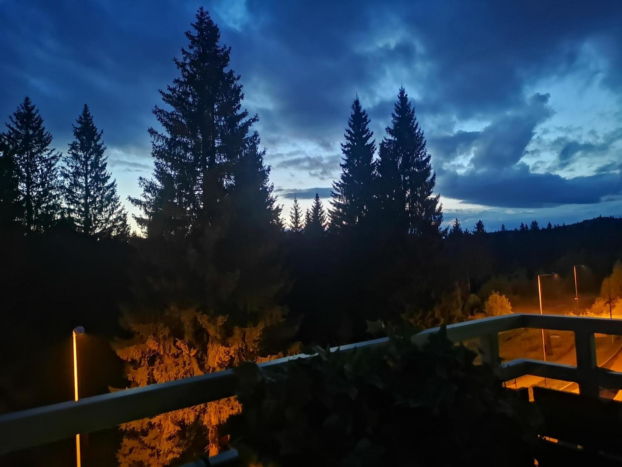 The Evergreen Nest - Silver Mountain Пояна-Брашов Номер фото