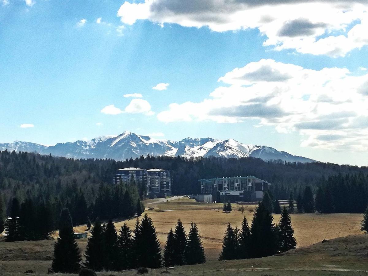 The Evergreen Nest - Silver Mountain Пояна-Брашов Экстерьер фото